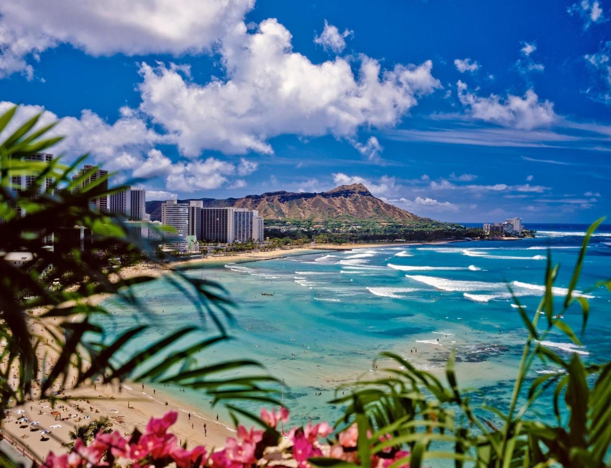 Modern Surf Chic Waikiki Studio Villa Honolulu Buitenkant foto